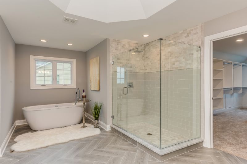 Contemporary Tub to Shower Conversion