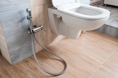 Smart Toilet and Bidet